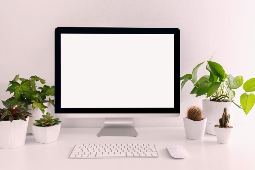 How to Perform a Digital Declutter and Organize Your Life: Organizational System
