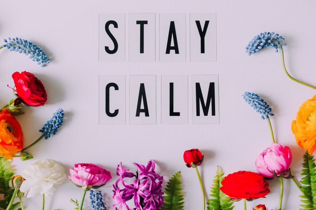 stay-calm-2022-11-14-21-10-41-utc - Real-Estate-Leads How to Enhance Your Negotiation Skills: Stay Calm Under Pressure