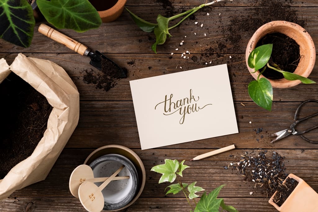 Thank you note in houseplant background - Real-Estate-Leads Ways to Show Appreciation for Your Professional Network: Thank you notes