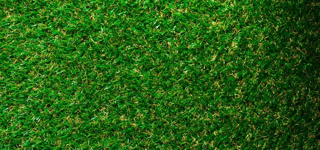 Eco-Friendly Practices for Real Estate Agents