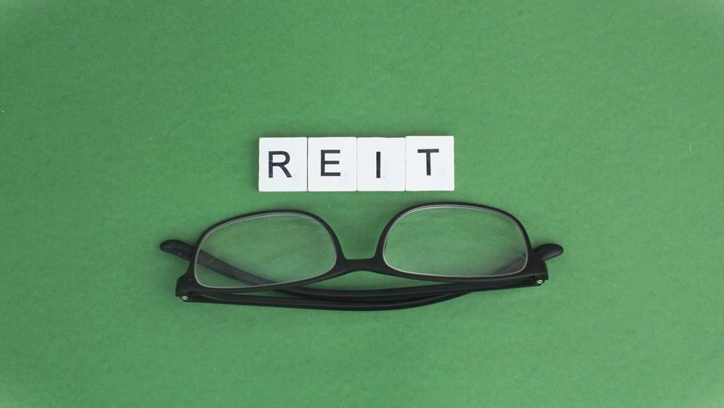 An Expert Guide to Understanding Real Estate Investment Trusts (REITs)