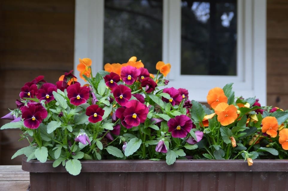 Budget-Friendly Tips for Boosting Curb Appeal on Your Listings: Enhance Landscaping