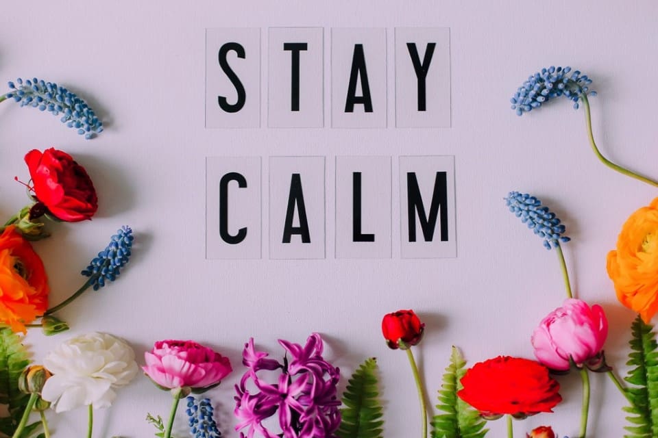 stay-calm-2022-11-14-21-10-41-utc-1 - Real-Estate-Leads Mastering Negotiation: A Crucial Skill for Real Estate Agents: Stay Calm Under Pressues