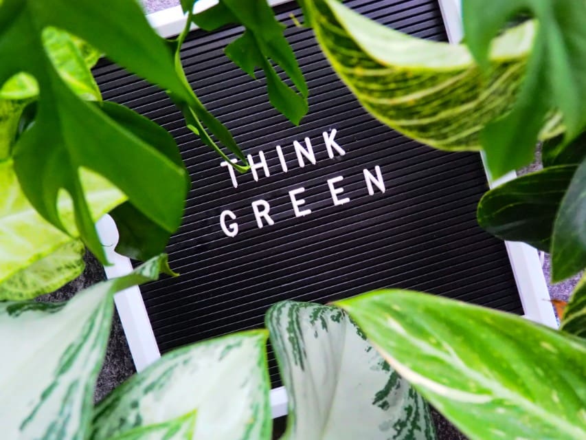 How is the Urban Real Estate Market Evolving? Sustainability