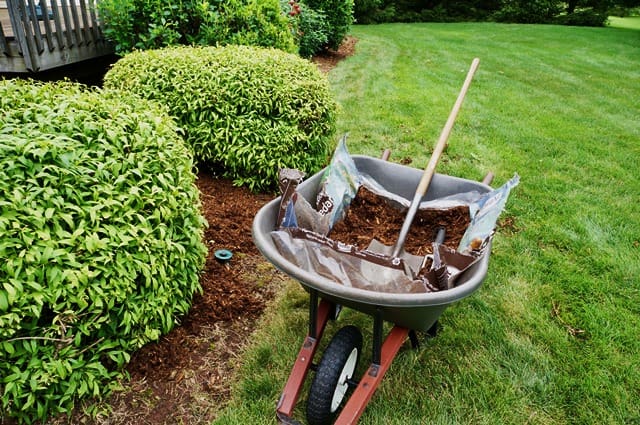 How to Help Sellers Prepare Their Homes for Showings:  Curb Appeal