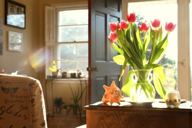 6 Tips for Mastering High Quality Videos: Lighting