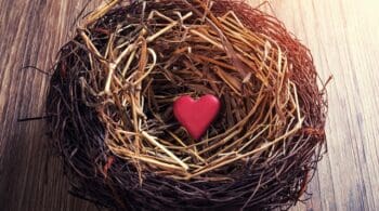 Proven Marketing Techniques for Empty Nesters
