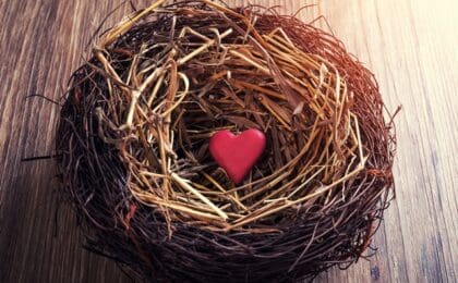 Proven Marketing Techniques for Empty Nesters