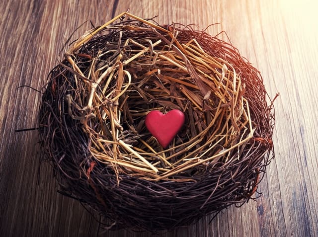 Proven Marketing Techniques for Empty Nesters