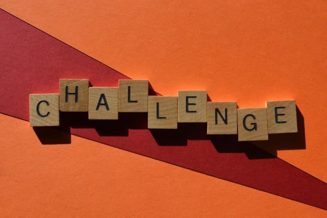 Working FSBOs: Strategies That Get Results:  Challenges