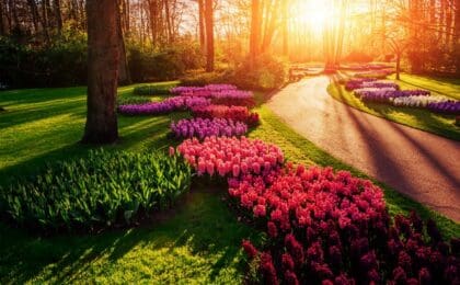 How Strategic Landscaping Can Boost Property Value