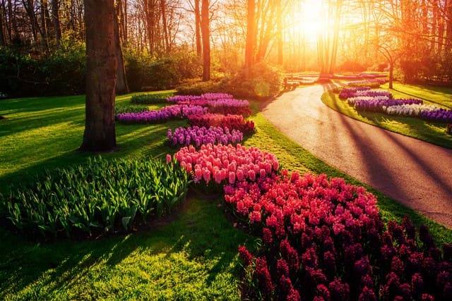 How Strategic Landscaping Can Boost Property Value