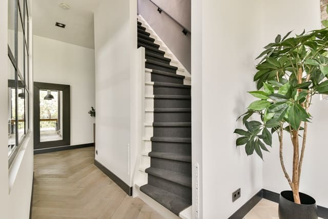 The Impact of Ceiling Height on Home Value and Buyer Appeal:  Natural Light