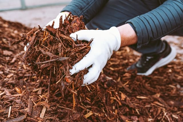 How Drought-Resistant Yards Can Attract More Home Buyers: Mulch