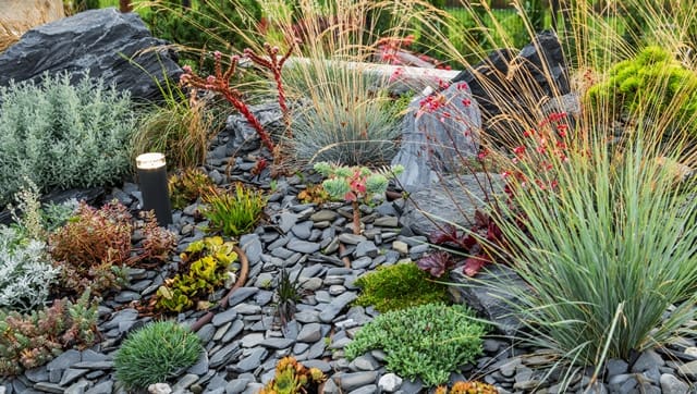 How Drought-Resistant Yards Can Attract More Home Buyers: Strategic Landscaping